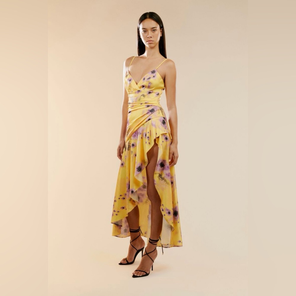 Bardot Sorella Printed Dress NWT Size US-10